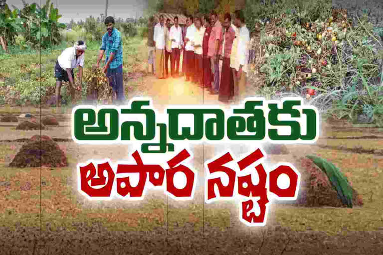 Farmers lost due to rains