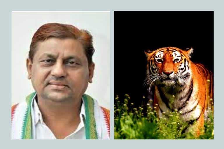 chhattisgarh tiger conservation