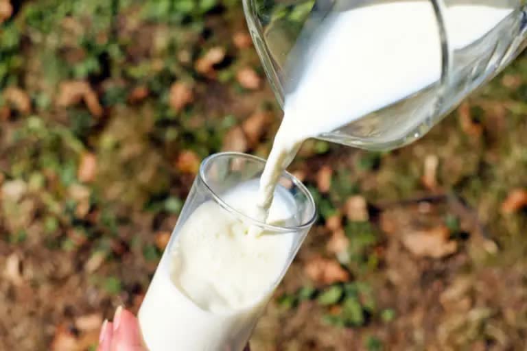 हिमाचल में दूध उत्पादन