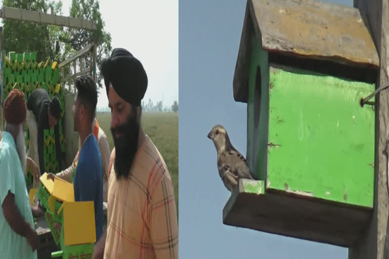 A special effort was made by bird lovers in Barnala