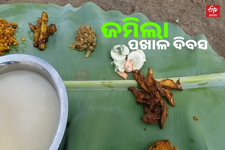 Pakhala Dibasa