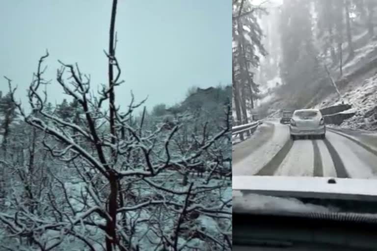 Snowfall in Shimla