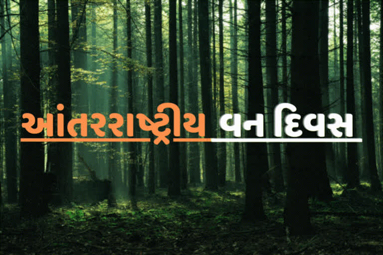 Etv BharatInternational Forest Day 2023