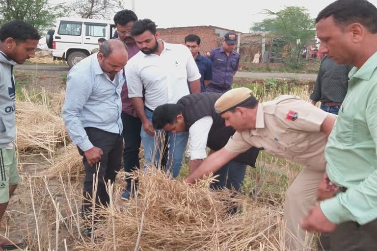 Rabi Crops damaged due to Rain and Hail