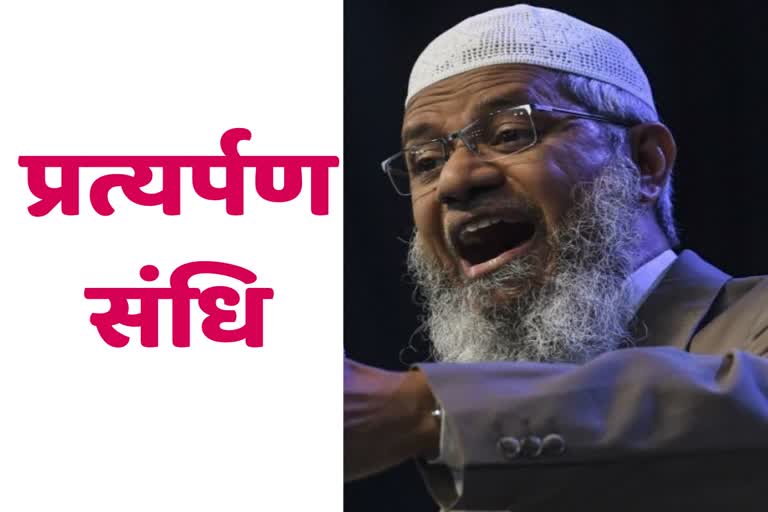 zakir naik