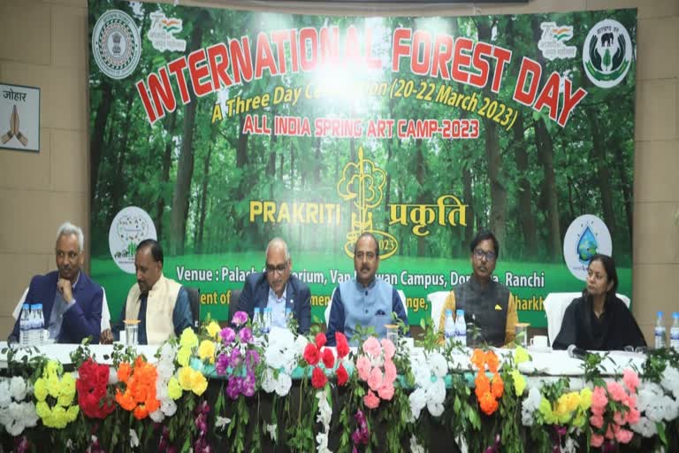 International forest day