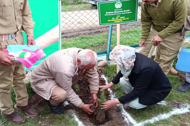 جنوبی کشمیر کے کولگام ضلع میں شجر کاری مہم