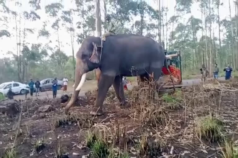 The mission to caught Wild Elephant Arikomban  The mission to caught Wild Elephant  Wild Elephant Arikomban  Arikomban in Idukki  അരിക്കൊമ്പന്‍ ദൗത്യം  അരിക്കൊമ്പന്‍ ദൗത്യം 26 ലേക്ക് മാറ്റി  ങ്കിയാനകളെത്താന്‍ താമസിക്കുന്നതും പൊതു പരീക്ഷയും  പൊതു പരീക്ഷ  ജനവാസ മേഖലയില്‍ ഭീതി പടര്‍ത്തുന്ന  അരിക്കൊമ്പനെ മയക്കുവെടി വച്ച് പിടികൂടാനുള്ള  ഇടുക്കി