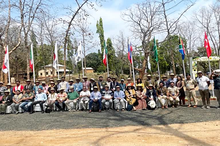 Foreign C-20 delegates were thrilled to see tigers at Pench Safari in Nagpur