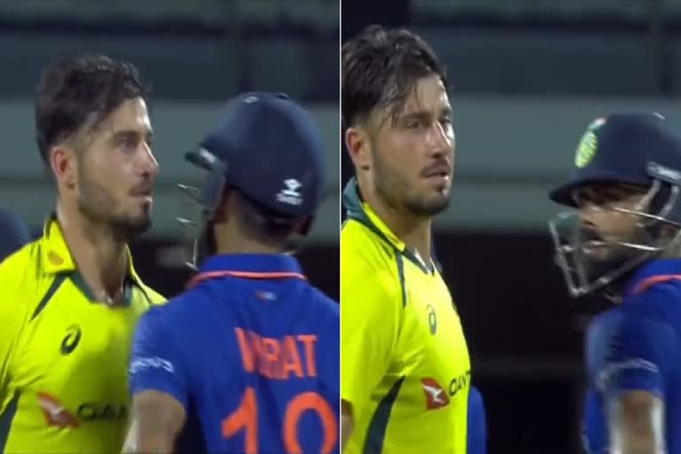 Marcus Stoinis collides with Virat Kohli