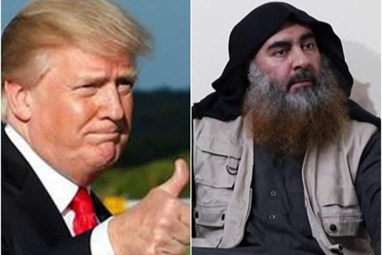 Trump, Baghdadi