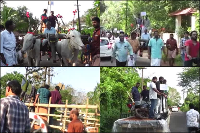 കാളവണ്ടി സമരം നടത്തി വാട്സാപ്പ് കൂട്ടായിമ  വാട്സാപ്പ് കൂട്ടായിമ  Whatsapp group protest regarding road repair  കണ്ണൂർ വാർത്തകൾ  കണ്ണൂർ ന്യൂസ്  latest news updates from kannur  latest news updates  latest local news updates