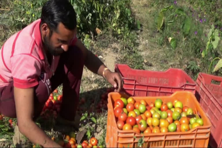 farmer started natural farming in solan