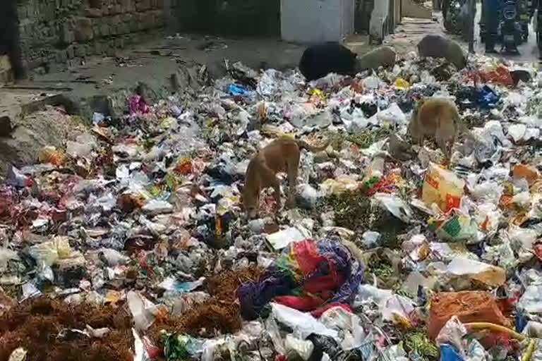 No garbage collection in many wards of the city for 5 days, jaipur news, जयपुर न्यूज