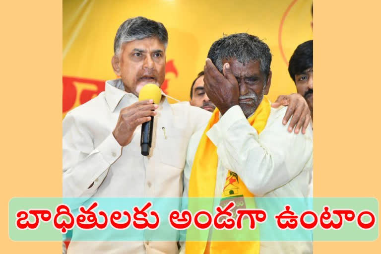 chandrababu fires on ycp govt