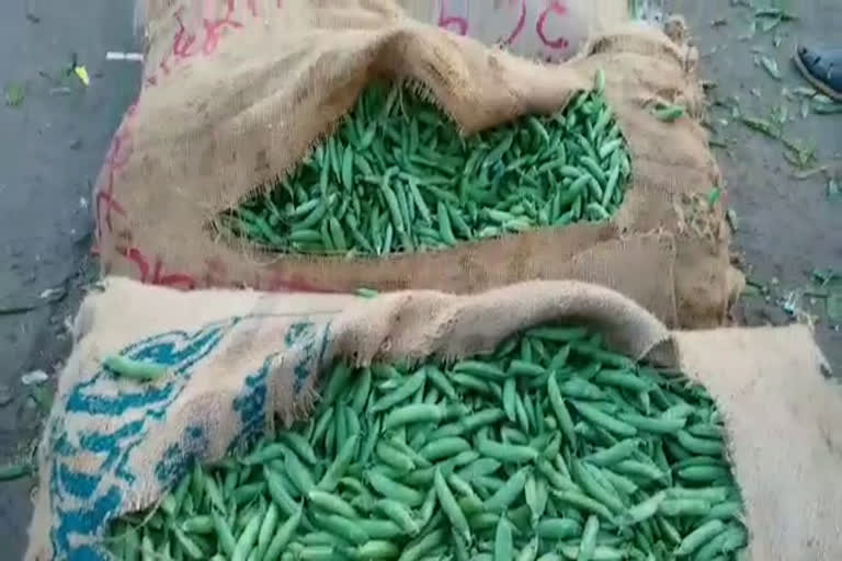 green peas being sold cheaper farmers are woried