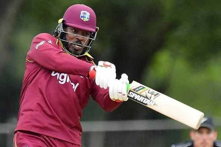 Chris Gayle unavailable for India tour