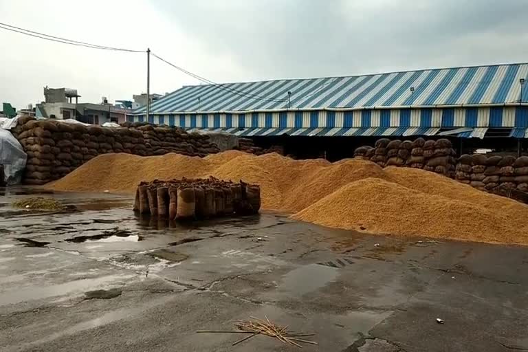 gohana grain market