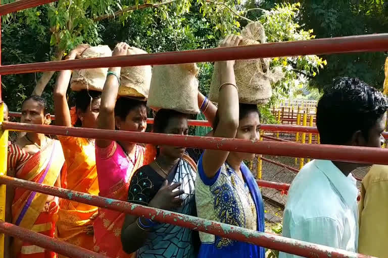 devotees rush at medaram jatara