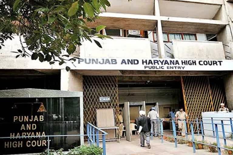 punjab and haryana hc