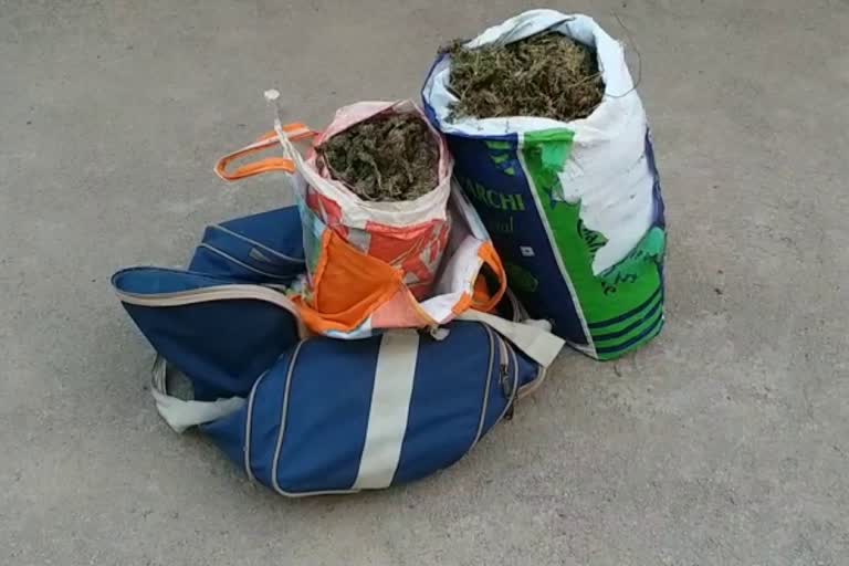 8kgs ganja seized at nirmal district two persons arrested