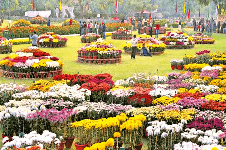 Chandigarh administration deducted the budget of rose festival