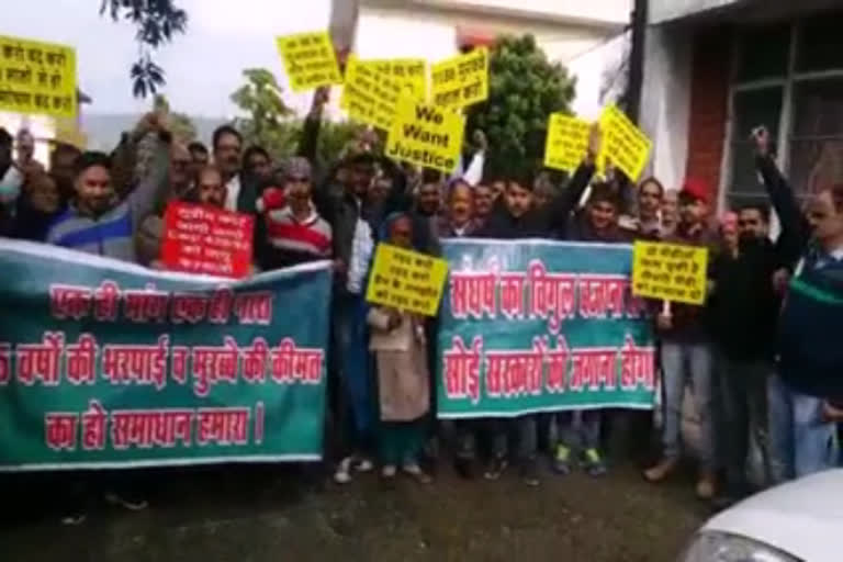 pong dam Displaced protest in kangra