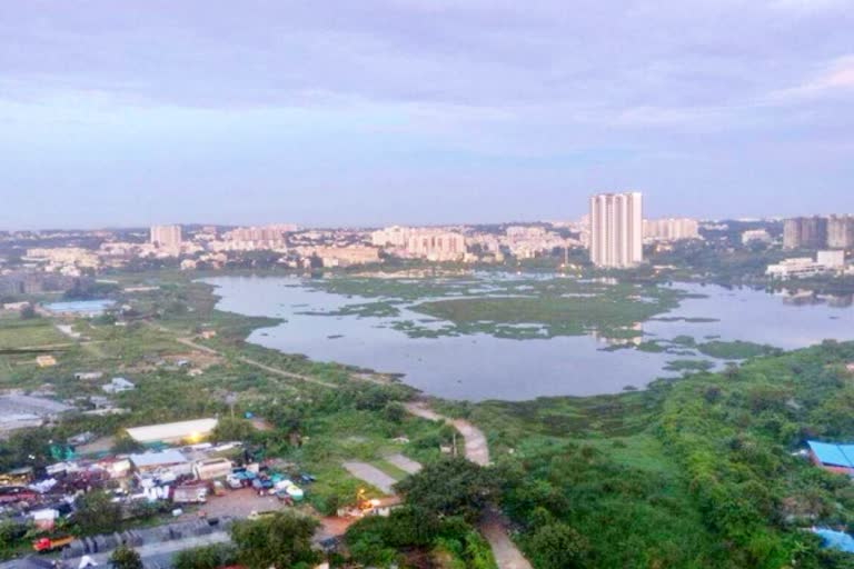 walmark-behind-the-hulimavu-lake-tragedy