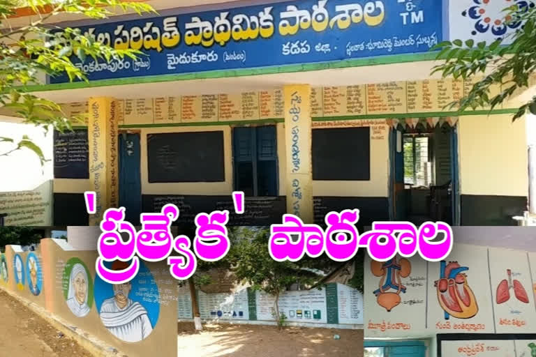 special school in venkatapuram mydukuru kadapa district