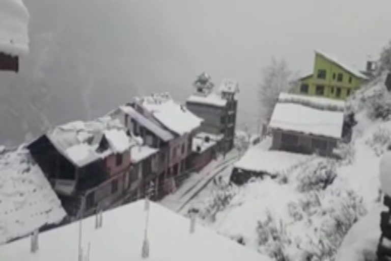 Heavy snow in Pangi Valley