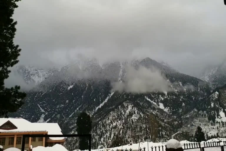 cold wave in Kinnaur