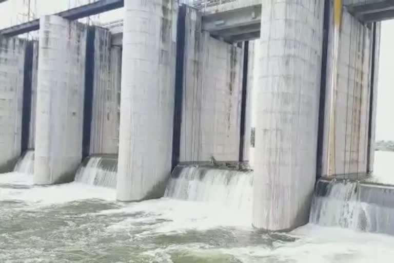 siddheshwar dam filed first time in last thirteen years