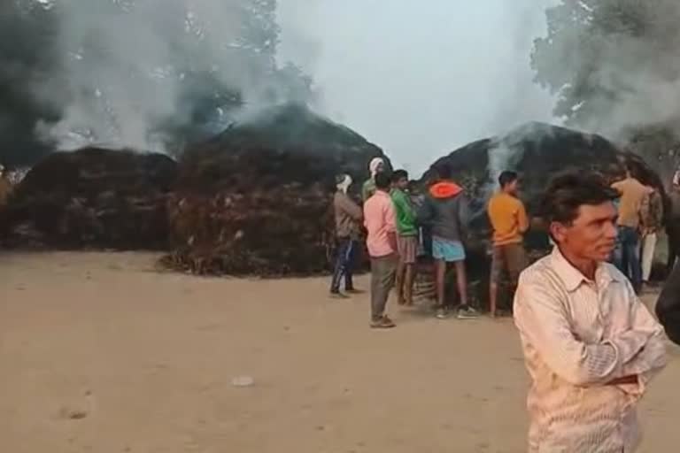 rice crop again burn in kadikasa gondia