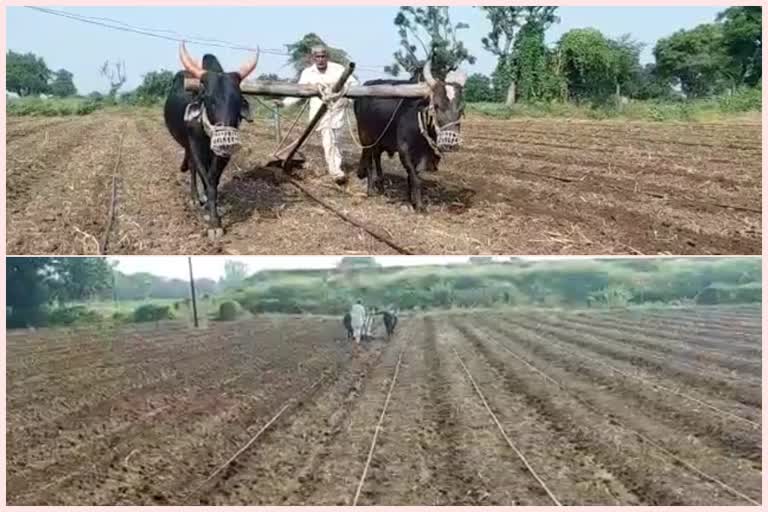 kannad farmers