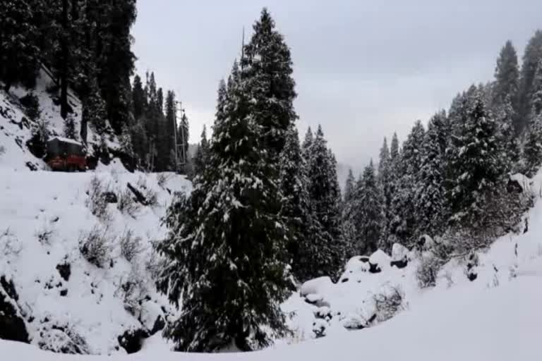 Snow in Dalhousie