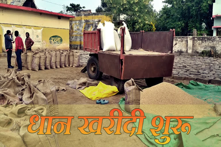 Paddy procurement has started in state today