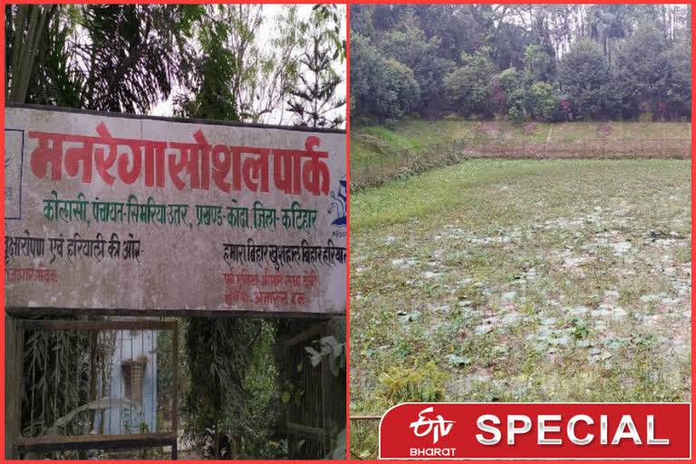 miserable condition of manrega social park in katihar