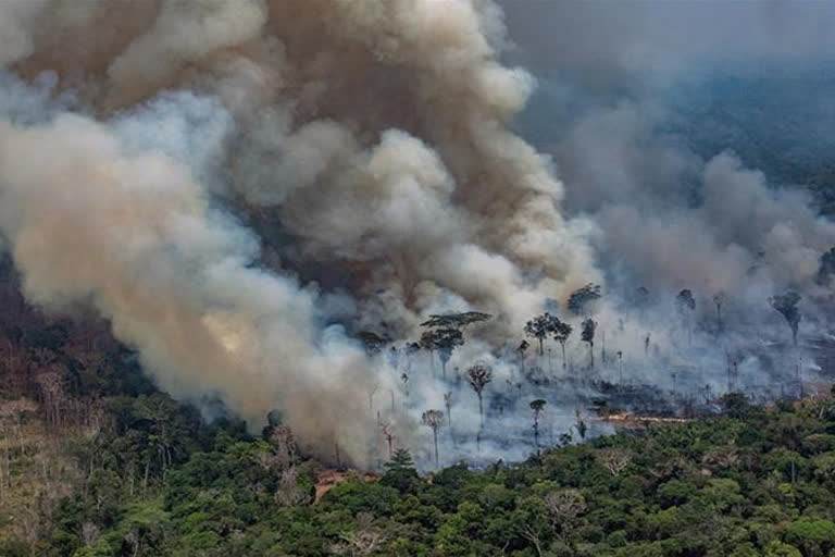 brazils-president-blames-hollywood-star-hero-for-amazon-forest-fires