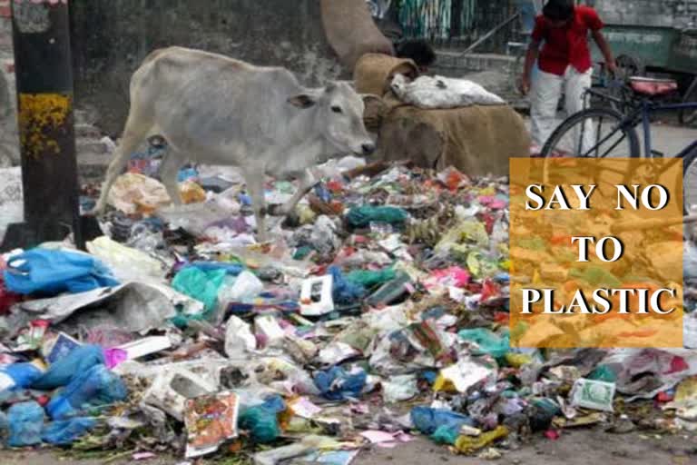 single use plastic free campaign ambala