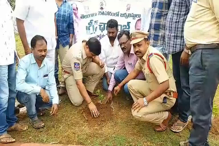 journalists accepted green challenge driven by mp santosh at parakal