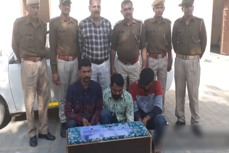 जयपुर की खबर,  jaipur news,  जयपुर में मोस्ट वांटेड गिरफ्तार,  Most wanted arrested in Jaipur