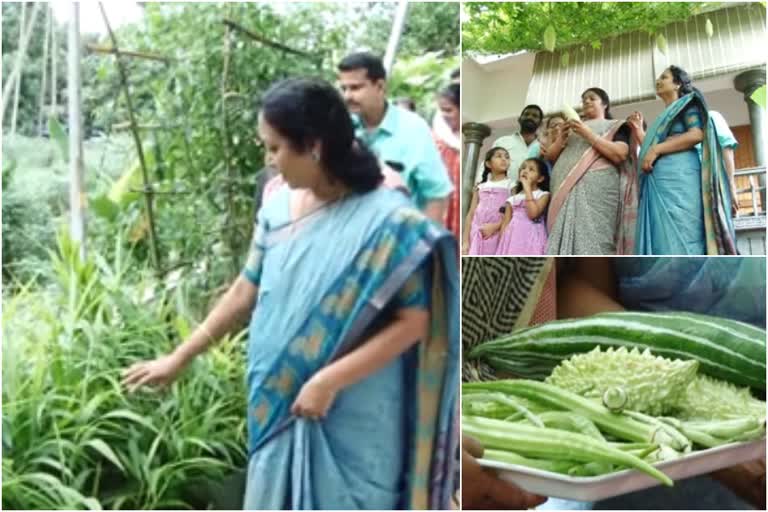 കാര്‍ഷിക രംഗത്ത് വിജയഗാഥ രചിച്ച് കോതമംഗലം നഗരസഭ  kothamangalam municipality wins agriculture award  ജൈവകൃഷി പദ്ധതി  ജനകീയ ആസൂത്രണ ഫണ്ട്  agriculture award  ernakulam latest news