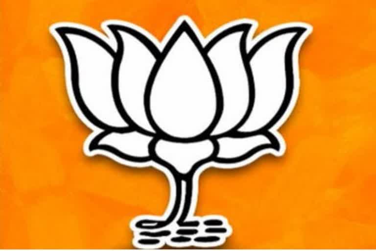 bjp parliament