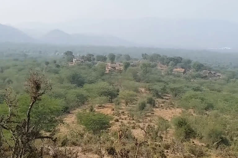 सरिस्का के लिए ग्रहण बन रहे जंगल में बसे हुए गांव, Villages inhabited by forest for eclipse Sariska