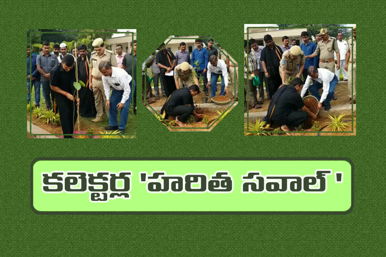 jagtial collector doctor sharath accepted karimnagar collector sarfaraj ahmed's green challenge and planted five trees in camp office