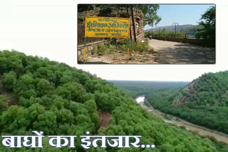 Ramgarh Sanctuary awaits tigers, Bundi Ramgarh Sanctuary,