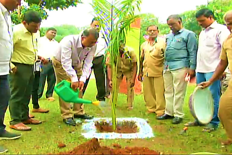 ADAR SINHA PLANTED PLANTS IN PUBLIC GARDEN IN D PART OF GREEN CHALLENGE