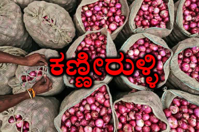 Teary Onions: Government in jitters