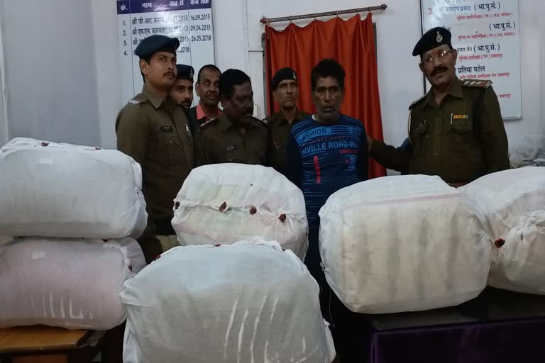 Khaki was smuggling hemp keeping the uniformed on hold, 43 kg hemp recovered in katni