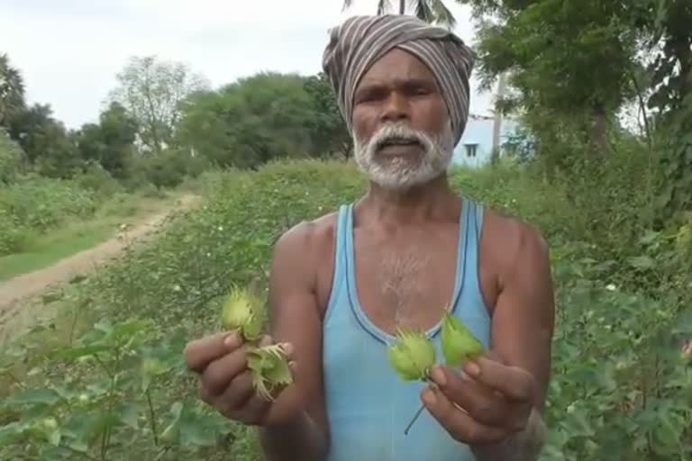 வேதனை தெரிவிக்கும் விவசாயிகள்